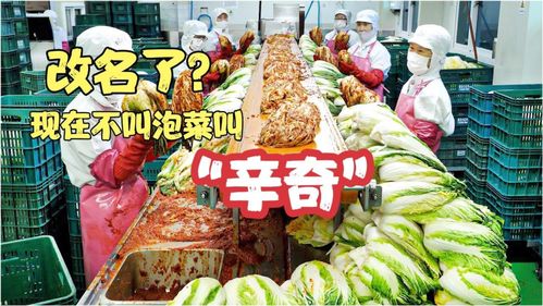 雨軒齋清真食品 堅(jiān)守“辛奇”品質(zhì)，踐行HACCP最高衛(wèi)生標(biāo)準(zhǔn)