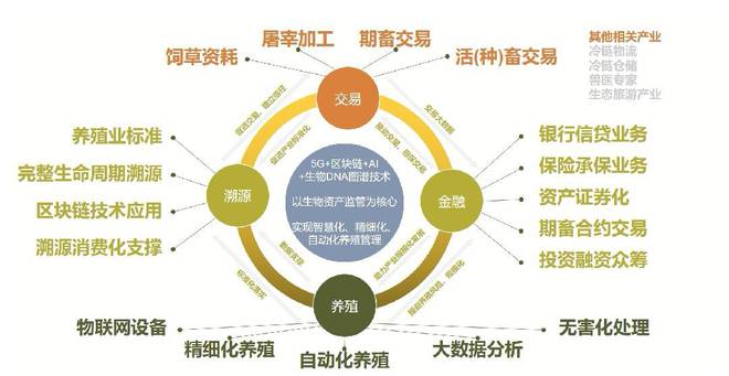 基于區(qū)塊鏈技術(shù)的中國農(nóng)畜產(chǎn)品質(zhì)量安全可追溯體系簡析——兼論品牌管理價值